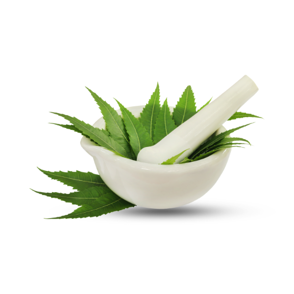 Neem